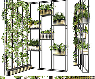 Collection plant vol 80 - indoor - ble - 3ds - c4d