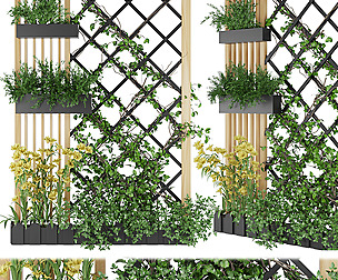 Collection plant vol 81 - indoor - ble - 3ds - c4d