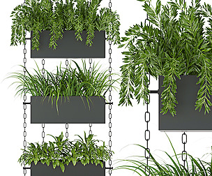 Collection plant vol 85  - ble - 3ds - c4d