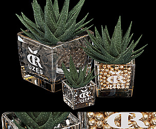 Collection plant vol 89 - ble - 3ds - c4d