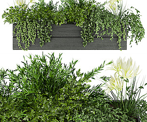 Collection plant vol 90 - leaf - ble - 3ds - c4d