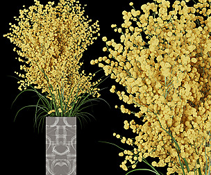 Collection plant vol 91- flower - ble - 3ds - c4d