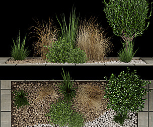 Collection plant vol 98 - ble - 3ds - c4d