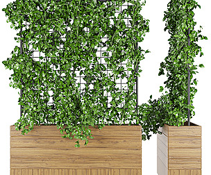 Collection plant vol 102 - ivy - ble - 3ds - c4d