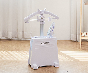Portable Dual Power Stand Steam Iron