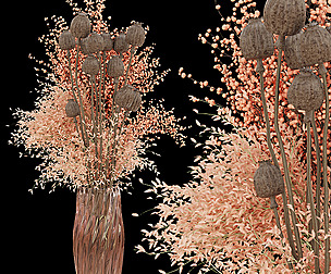 Collection plant vol 103 - dried - ble - 3ds - c4d