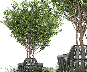 Collection plant vol 106 - leaf  - ble - 3ds - c4d