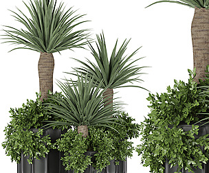 Collection plant vol 106 - leaf - ble - 3ds - c4d
