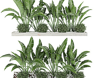 Collection plant vol 109 - leaf - ble - 3ds - c4d