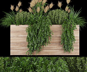 Collection plant vol 116 - bush - ble - 3ds - c4d