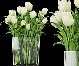 Collection plant vol 119 - rose - ble - 3ds - c4d