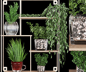 Collection plant vol 122 - ivy - ble - 3ds - c4d