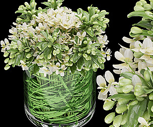 Collection plant vol 123 - ble - 3ds - c4d