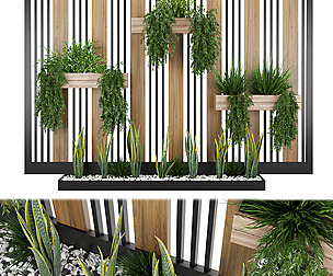Collection plant vol 117 - ivy - ble - 3ds - c4d