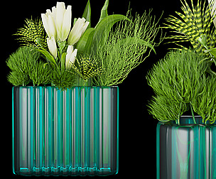 Collection plant vol 129 - ble - 3ds - c4d