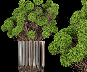Collection plant vol 130 - ble - 3ds - c4d