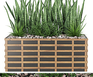 Collection plant vol 132 - ble - 3ds - c4d