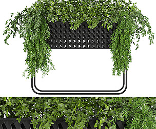Collection plant vol 133 - ble - 3ds - c4d