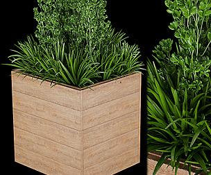 Collection plant vol 134 - grass - ble - 3ds - c4d