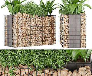 Collection plant vol 135 - stone - ble - 3ds - c4d