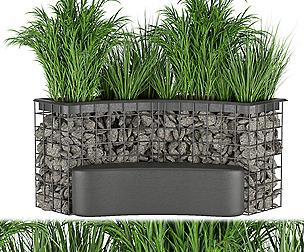 Collection plant vol 141 - leaf - ble - 3ds - c4d