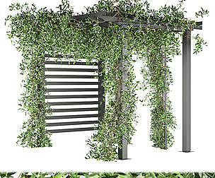 Collection plant vol 143 - ivy - ble - 3ds - c4d