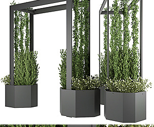 Collection plant vol 147 - ivy - ble - 3ds - c4d