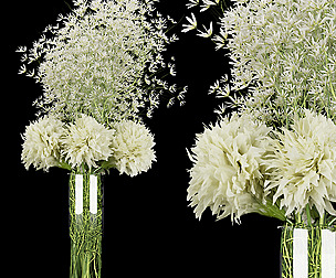 Collection plant vol 151 - ble - 3ds - c4d