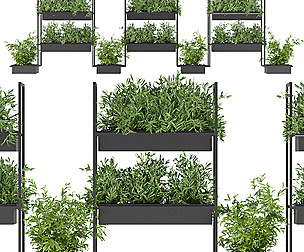 Collection plant vol 152 - leaf - ble - 3ds - c4d