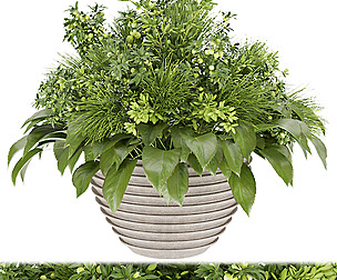 Collection plant vol 154 - leaf - ble - 3ds - c4d