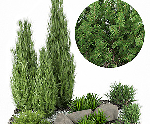 Collection plant vol 156 - stone - ble - 3ds - c4d
