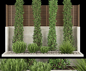 Collection plant vol 157 - stone - ble - 3ds - c4d
