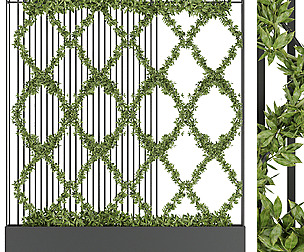 Collection plant vol 158 - ivy - ble - 3ds - c4d