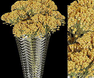 Collection plant vol 160 - ble - 3ds - c4d