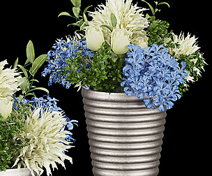 Collection plant vol 162 - ble - 3ds - c4d