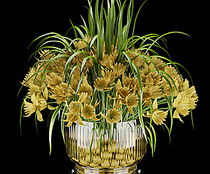 Collection plant vol 161 - ble - 3ds - c4d