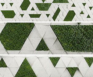 Collection plant vol 170 - ivy - ble - 3ds - c4d