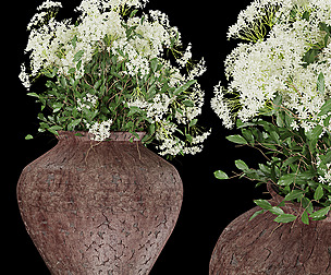 Collection plant vol 175 - ble - 3ds - c4d