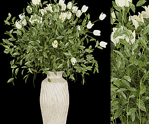Collection plant vol 186 - ble - 3ds - c4d