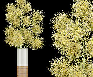 Collection plant vol 187 - ble - 3ds - c4d