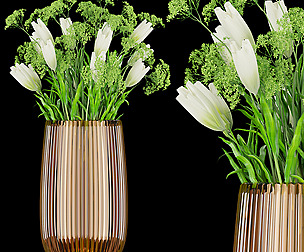 Collection plant vol 188 - ble - 3ds - c4d