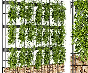 Collection plant vol 192- ivy - ble - 3ds - c4d