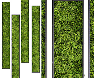 Collection plant vol 201 - ivy - ble - 3ds - c4d