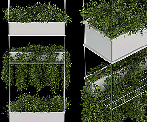 Collection plant vol 222 - leaf- ble - 3ds - c4d