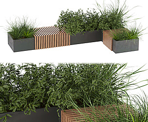 Collection plant vol 224 - leaf  - ble - 3ds - c4d