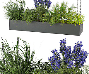 Collection plant vol 225 - leaf  - ble - 3ds - c4d