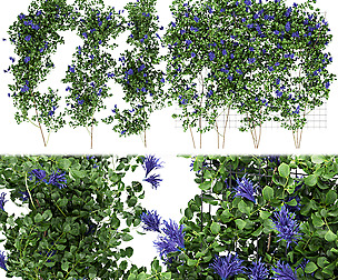 Collection plant vol 227- leaf - ble - 3ds - c4d
