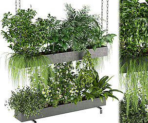 Collection plant vol 234 - leaf - ble - 3ds - c4d