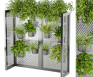 Collection plant vol 235 - leaf - ble - 3ds - c4d