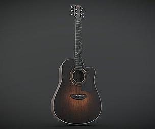 Acoustic Guitar Ellie Guitar